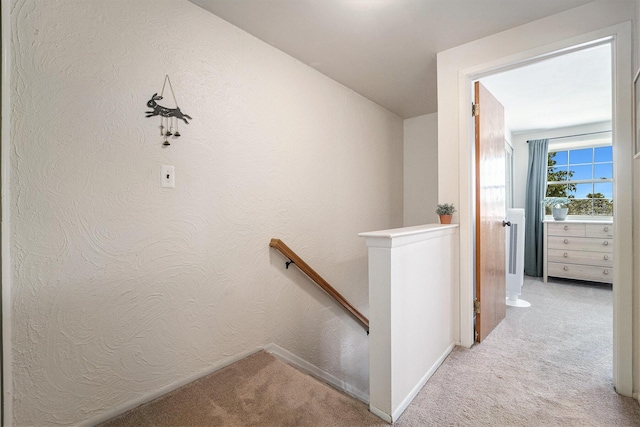24822 Olde Orchard St, Novi, MI 48375 - photo 16