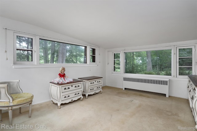 3511 Sutton Ln, Commerce Twp, MI 48390 - photo 21