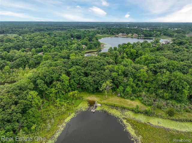 3511 Sutton Ln, Commerce Twp, MI 48390 - photo 45