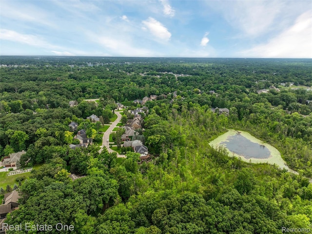3511 Sutton Ln, Commerce Twp, MI 48390 - photo 41