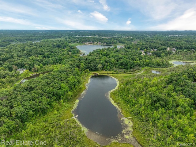 3511 Sutton Ln, Commerce Twp, MI 48390 - photo 43