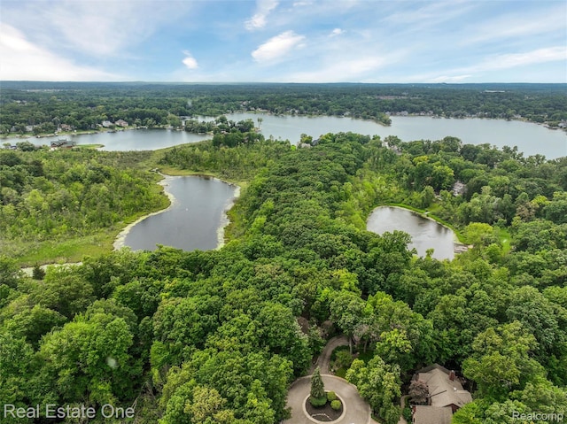 3511 Sutton Ln, Commerce Twp, MI 48390 - photo 42
