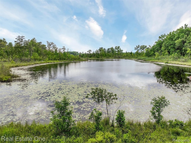 3511 Sutton Ln, Commerce Twp, MI 48390 - photo 38