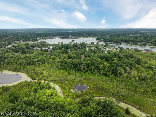 3511 Sutton Ln, Commerce Twp, MI 48390 - photo 40
