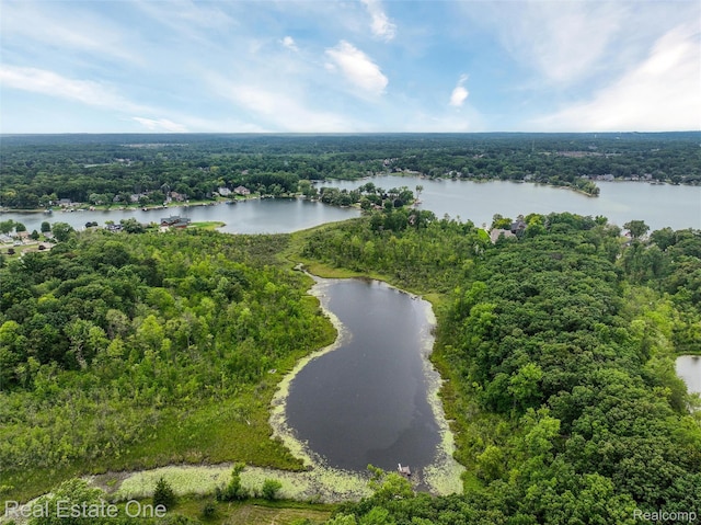 3511 Sutton Ln, Commerce Twp, MI 48390 - photo 47
