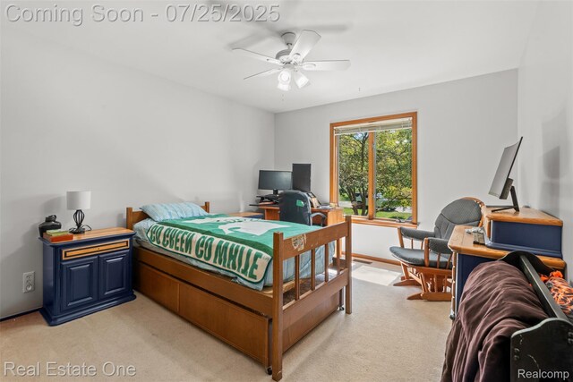 11509 Nora Dr, Fenton, MI 48430 - photo 22