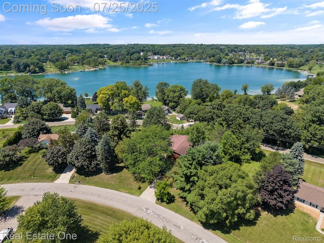 11509 Nora Dr, Fenton, MI 48430 - photo 41