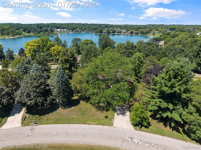 11509 Nora Dr, Fenton, MI 48430 - photo 46