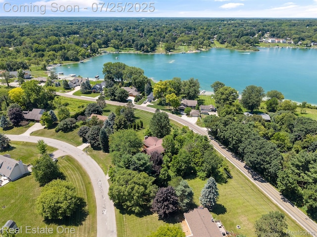 11509 Nora Dr, Fenton, MI 48430 - photo 43