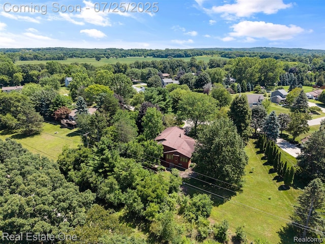 11509 Nora Dr, Fenton, MI 48430 - photo 44
