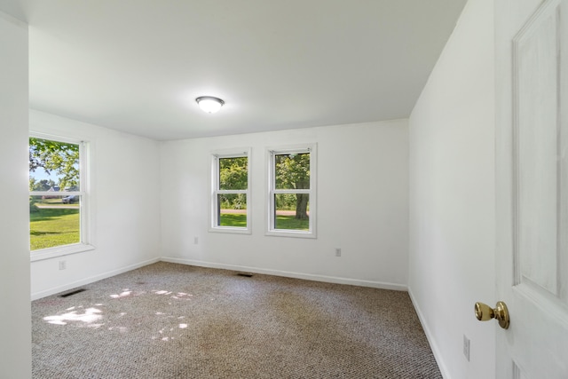 13333 Hutchisson Rd, Albion, MI 49224 - photo 25