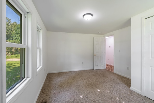 13333 Hutchisson Rd, Albion, MI 49224 - photo 26