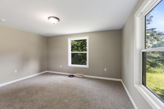 13333 Hutchisson Rd, Albion, MI 49224 - photo 29