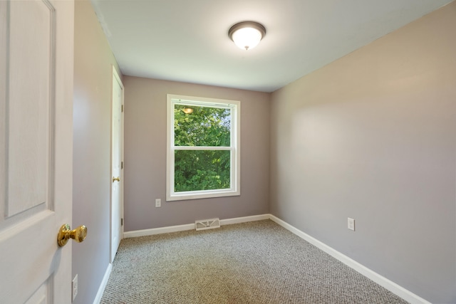 13333 Hutchisson Rd, Albion, MI 49224 - photo 32