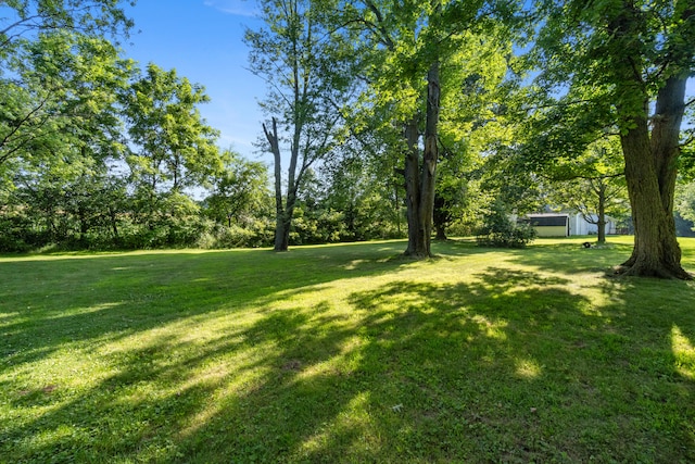 13333 Hutchisson Rd, Albion, MI 49224 - photo 43
