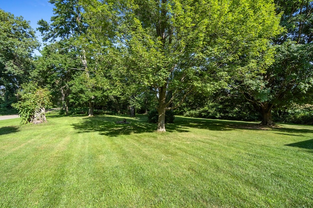 13333 Hutchisson Rd, Albion, MI 49224 - photo 44