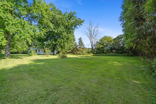 13333 Hutchisson Rd, Albion, MI 49224 - photo 45