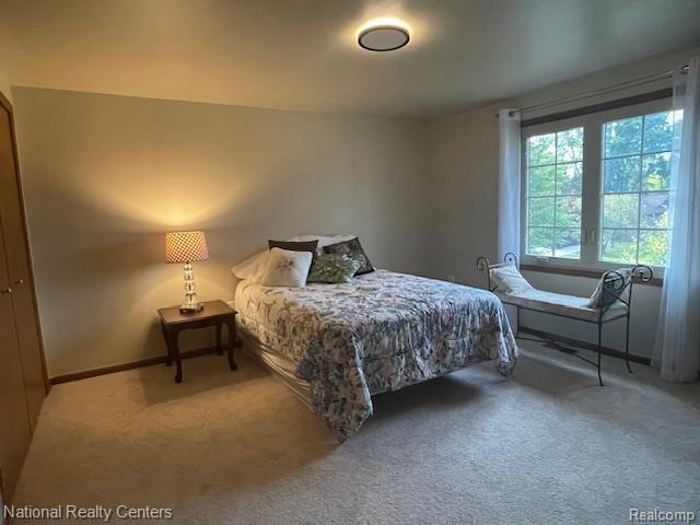 35229 Vargo St, Livonia, MI 48152 - photo 23