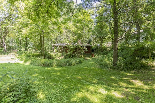 2139 Steger Ave, Kalamazoo, MI 49048 - photo 33