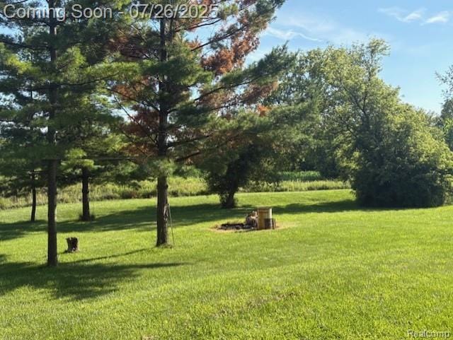 4114 Snoblin Rd, North Branch, MI 48461 - photo 4