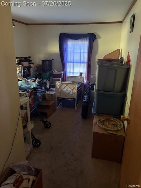 4114 Snoblin Rd, North Branch, MI 48461 - photo 16