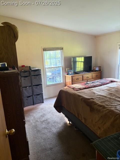 4114 Snoblin Rd, North Branch, MI 48461 - photo 14
