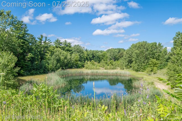 4097 Berlin Dr, Otter Lake, MI 48464 - photo 32