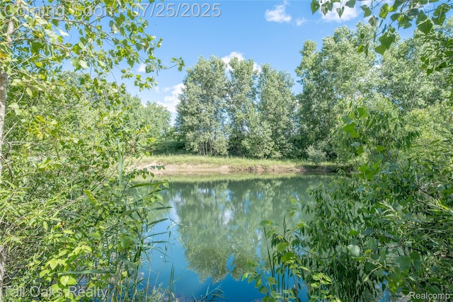 4097 Berlin Dr, Otter Lake, MI 48464 - photo 31