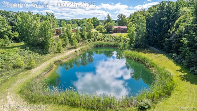 4097 Berlin Dr, Otter Lake, MI 48464 - photo 5