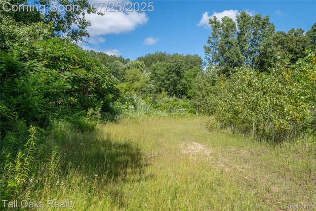 4097 Berlin Dr, Otter Lake, MI 48464 - photo 33