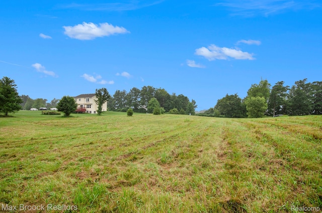 11490 Castleton Ct, Dexter, MI 48130 - photo 5