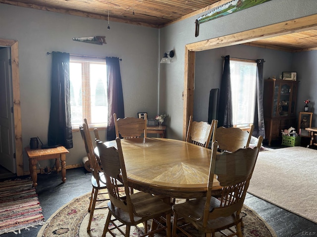 1063 Elm St, Jasper, MI 49248 - photo 10