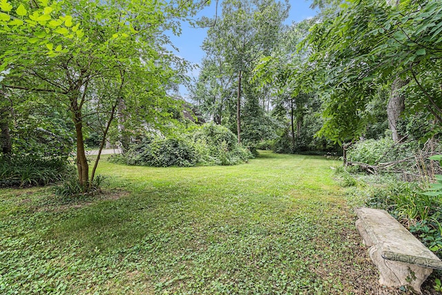 2314 Fairfield Rd, Portage, MI 49002 - photo 26