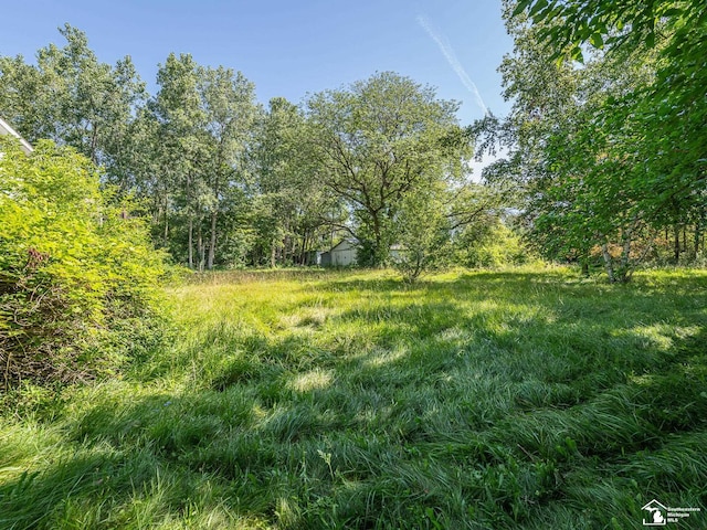 2970 W Newburg Rd, Carleton, MI 48117 - photo 4