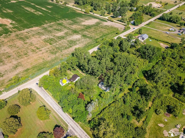 2970 W Newburg Rd, Carleton, MI 48117 - photo 13