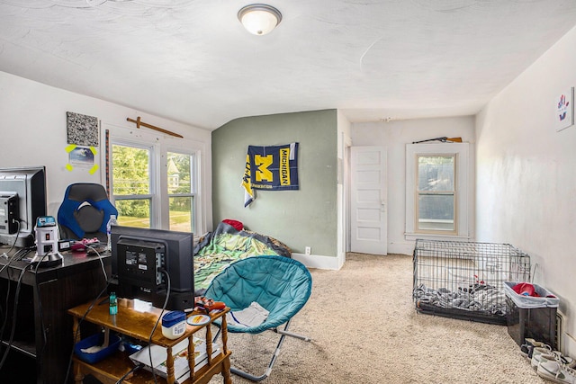 127 N O Keefe St, Cassopolis, MI 49031 - photo 11