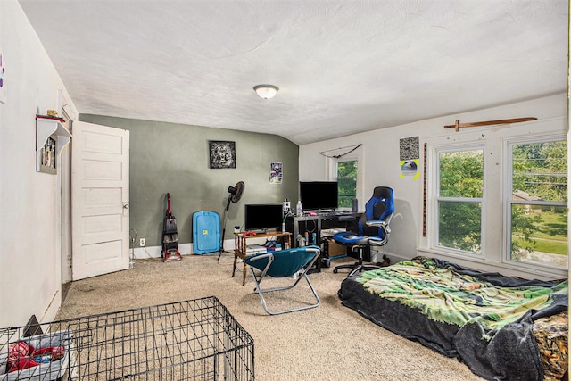 127 N O Keefe St, Cassopolis, MI 49031 - photo 12