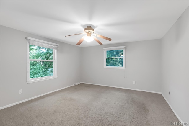 9020 Bridge Rd, Grosse Ile, MI 48138 - photo 26