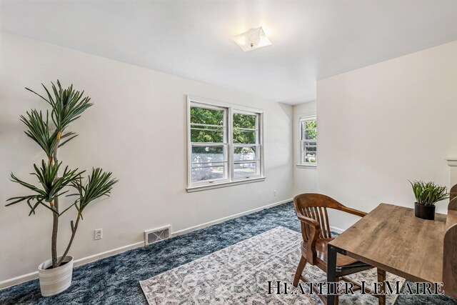 315 Spruce St SE, Grand Rapids, MI 49507 - photo 20