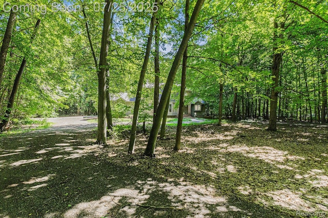 1207 Sugarbush Dr, Lapeer, MI 48446 - photo 29