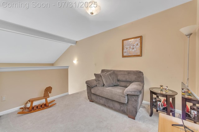 20838 Sleepy Hollow Dr, Macomb, MI 48044 - photo 20
