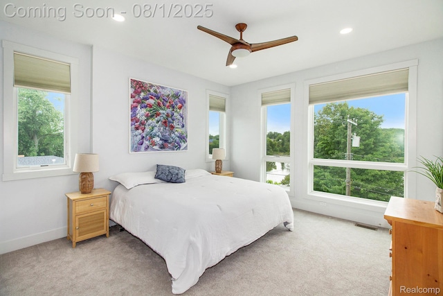 292 N 1st St, Brighton, MI 48116 - photo 12