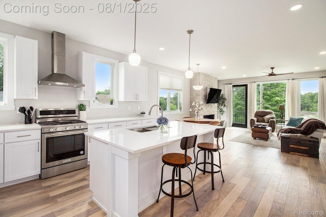 292 N 1st St, Brighton, MI 48116 - photo 5