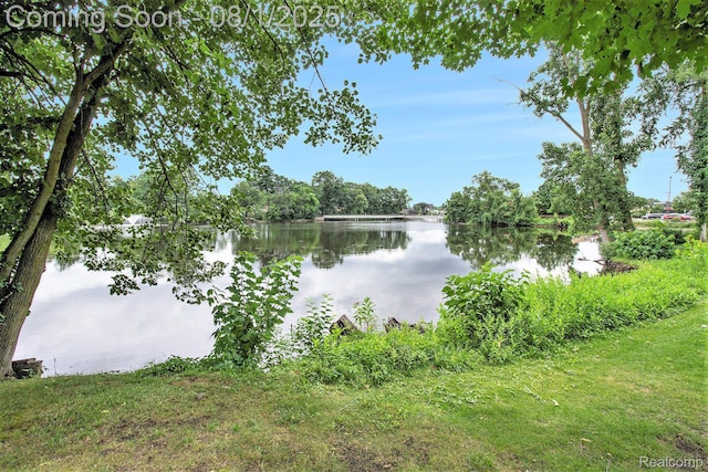 292 N 1st St, Brighton, MI 48116 - photo 31