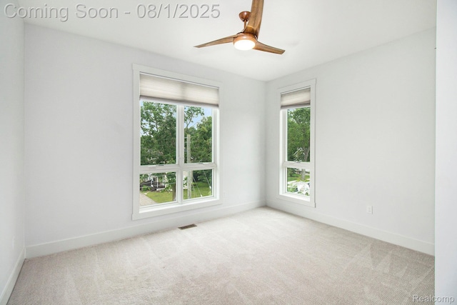 292 N 1st St, Brighton, MI 48116 - photo 17