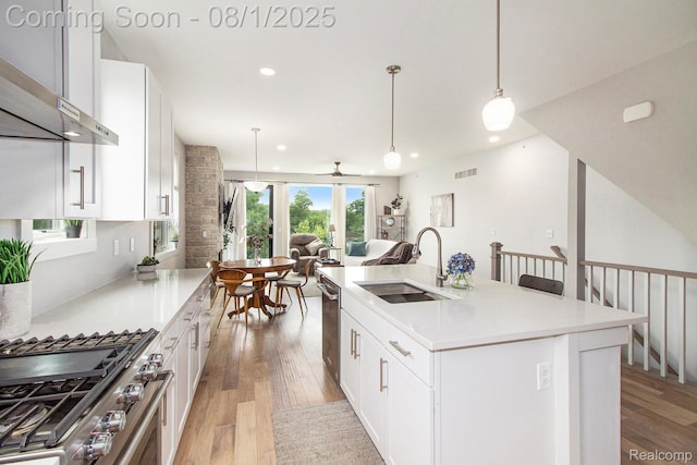 292 N 1st St, Brighton, MI 48116 - photo 7