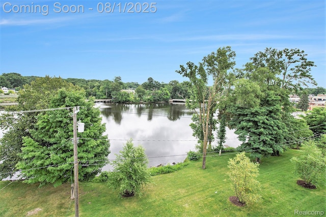 292 N 1st St, Brighton, MI 48116 - photo 32