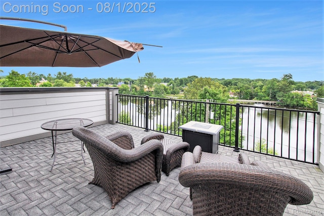 292 N 1st St, Brighton, MI 48116 - photo 20