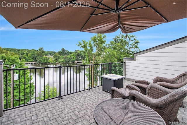 292 N 1st St, Brighton, MI 48116 - photo 21