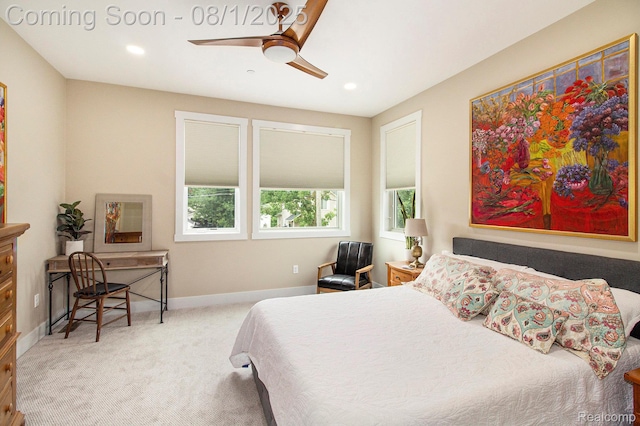 292 N 1st St, Brighton, MI 48116 - photo 10